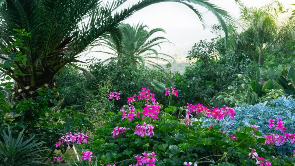 Palm tree removal and garden cleanup
