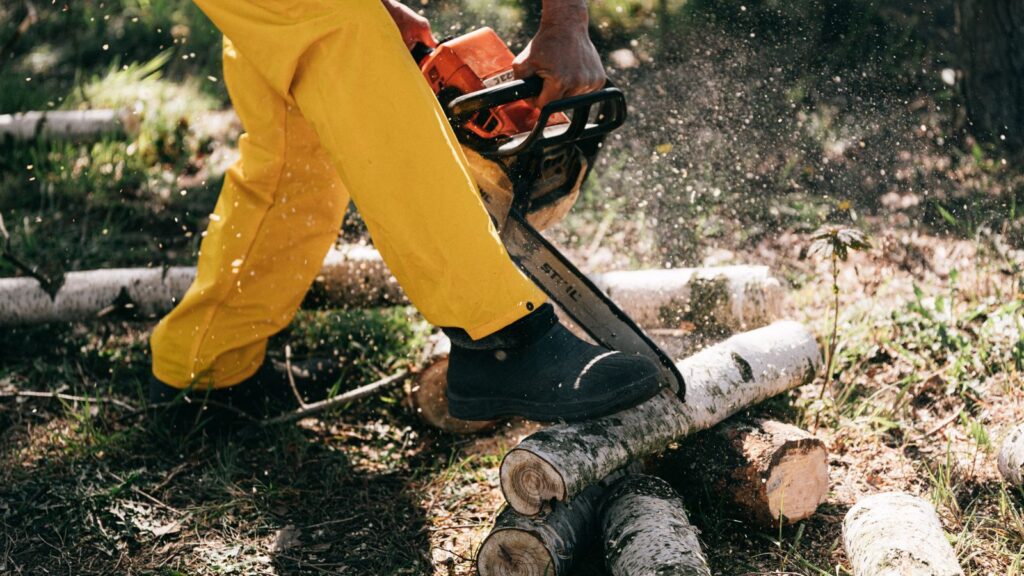 Tree cutting and log removal project