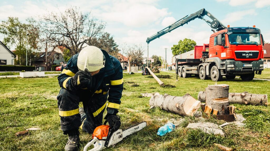 Tree felling team with chainsaw equipment